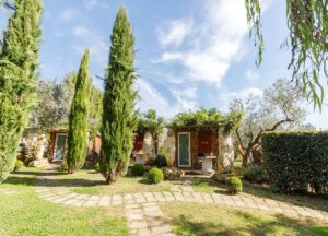 le legnaie il giardino dei flintstones